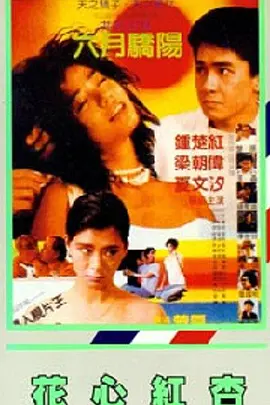 余烬之上电视剧免费高清观看